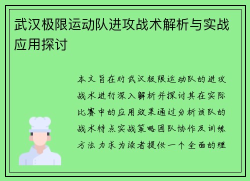 武汉极限运动队进攻战术解析与实战应用探讨